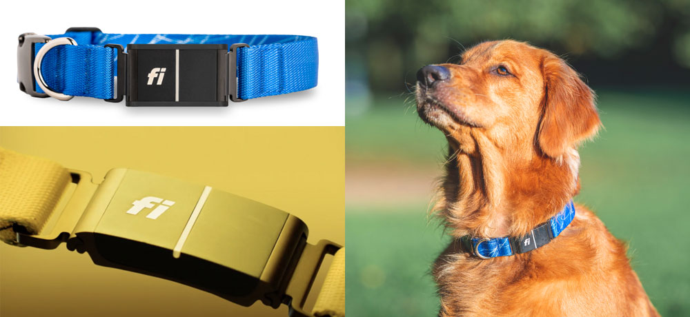 Fi Series 3 dog collar GPS pet tracking device